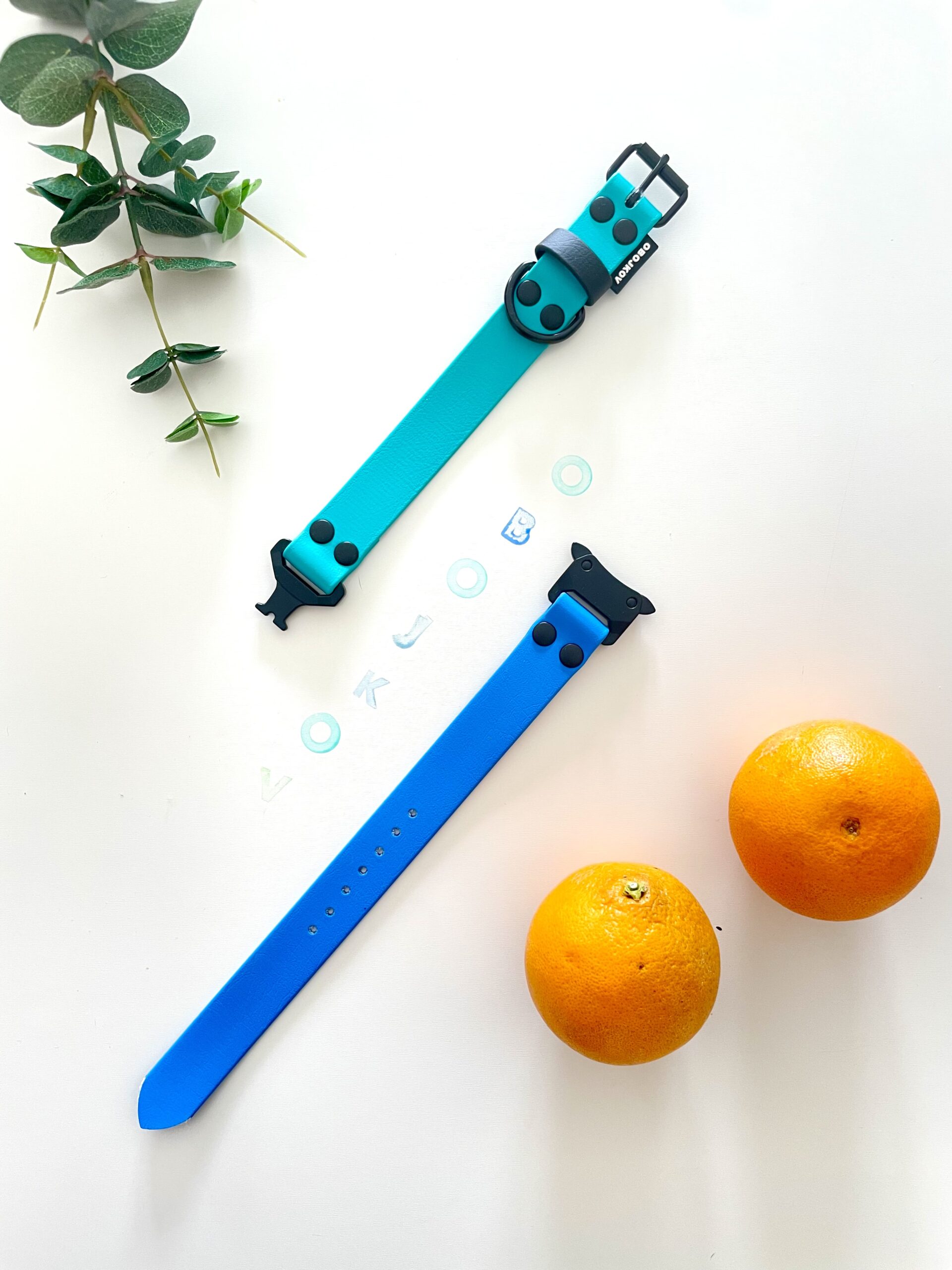 designové obojky pro psy